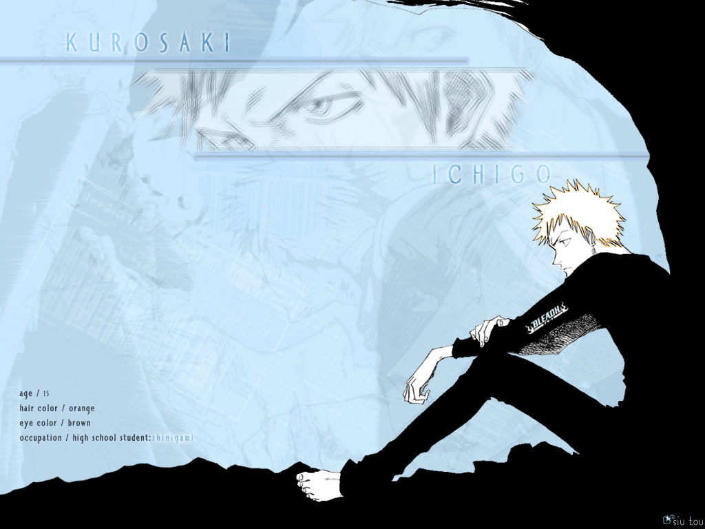 Otaku Gallery  / Anime e Manga / Bleach / Wallpapers / 009.jpg